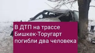 В ДТП на трассе Бишкек-Торугарт погибли два человека