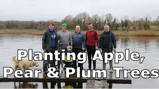 Planting Apple, Plum and Pear Fruit Trees | Establishing habitat for wild pollinators