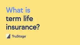 What is term life insurance?