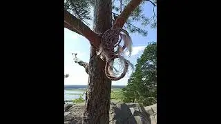 КАРЕЛИЯ. На горе Паасанвуори