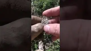 Редкая уникальная находка из серебра! 