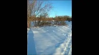 Гоняем зайца...Наслаждаюсь гоном)))
