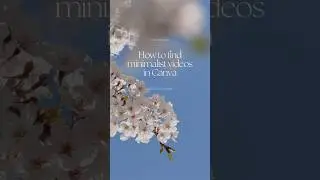How to Find Minimalist Aesthetic Videos in Canva | Canva Tips | Content Creation Tips 