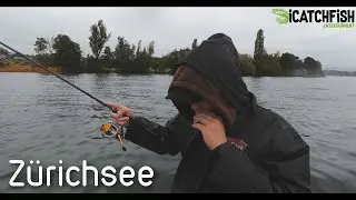 Hechtangeln am Zürichsee - iCatchFish #Pike #Hecht #Angeln