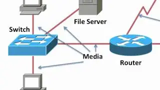 6 Lesson 2 Common Network Components