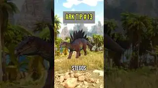 Ark Tips You Need To Know #13! Did You Know This?