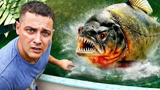 I Got GIANT Pet PIRANHAS…