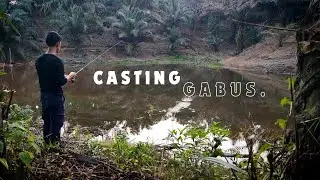 CASTING GABUS DI RAWA SAWIT