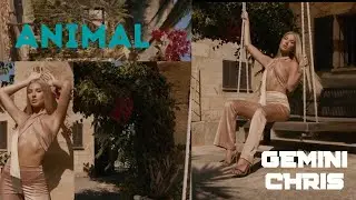 Gemini Chris - Animal (Original Mix)