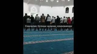 O’tirgan qoqilmaydi - Abdulloh domla