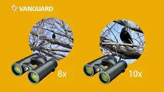 Overview: Vanguard VEO HD2 Binoculars