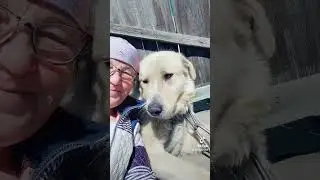 Первый год жизни все любопытно.