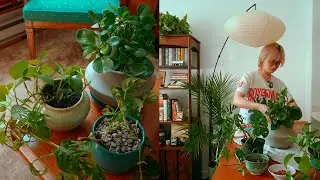 decorating my nyc apartment 🏡 homewares haul, new bookshelf, & plants galore