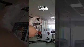 Секрет успеха в тренировках с читингом, 