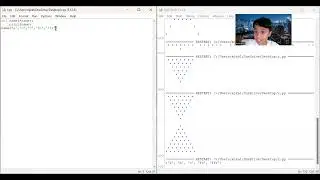 Functions with multiple arguments in python 