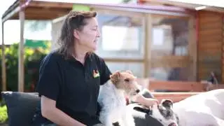 El pelo del Gran Danés