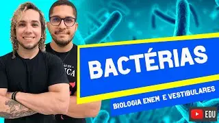 BACTÉRIAS (CARACTERÍSTICAS E DOENÇAS) - AULA 12 ISOLADA DE BIOLOGIA ENEM E VESTIBULARES