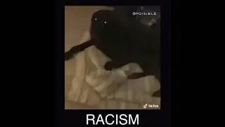Dog Racism