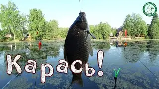 ОЗЕРЦО КИШАЩЕЕ КАРАСЯМИ, ДА СКОЛЬ ЖЕ ЕГО ЗДЕСЬ, РЫБАЛКА НА ЛЕТНЮЮ УДОЧКУ С НОЧЕВКОЙ, ЛОВИМ НА УРАЛЕ!