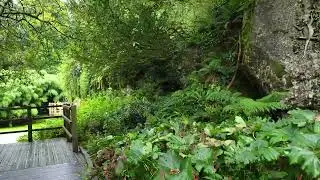 Blarney Castle Grounds