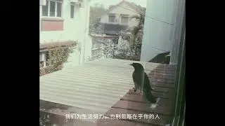 好好珍惜依旧陪你的人 💕
