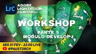 Workshop Adobe Lightroom Classic - Parte 05 - Módulo Develop I