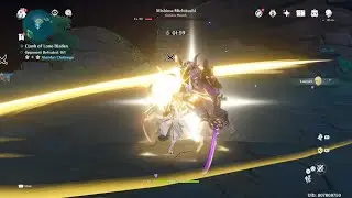 Genshin Impact - Mishima Michitoshi Pefect Parry Counter