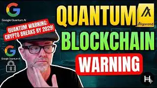 Google Picked Algorand for quantum, and it's PUMPING