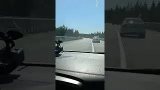 WhatsApp Video 2021 05 13 at 19 37 07