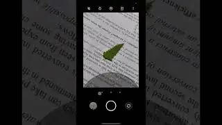 #mobilephotograpy #indoorphotoshoot #creativephotoshoot #shortvideo #youtubeshorts