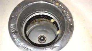 Сушка