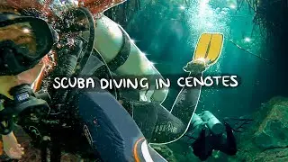 BEST Cenote Scuba Diving in Tulum 🧜🏼‍♀️✨Casa Cenote + Cenote Angelita