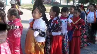 Desfile 20 de Noviembre del 2015