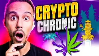 Crypto Chronic 🪴Free-to-Play & Play-to-Earn Gaming Metaverse 🪴