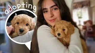i surprised my GRANDMA with a PUPPY