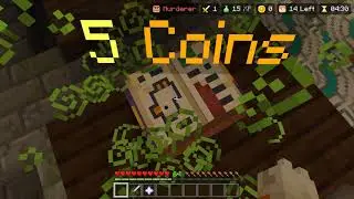2 NEW boards Murder Mystery the hive minecraft - SECRET hiding spots discovered!