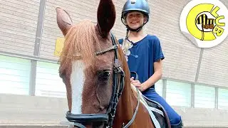 Die erste Reitstunde | Tigerenten Club