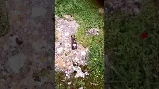 Вот ,ещё одна загадка древних...цивилизаций
