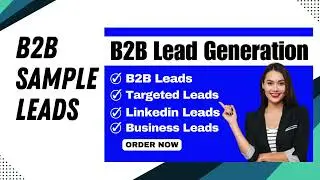 Hire a B2B Lead Generation Expert on Fiverr