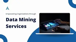 Empowering Organizations Through Data Mining Services