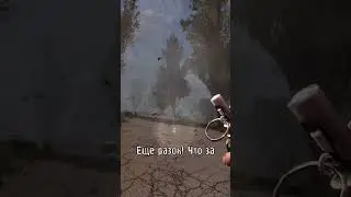 Такого ты точно не знал про аномалию Карусель! 