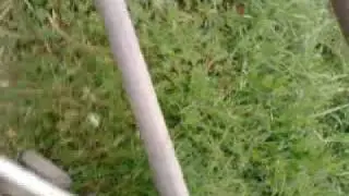 Our Little Experiment Part 4
