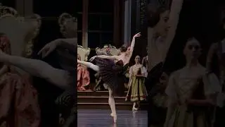Black Swan Pas de Deux | Benedicte Bemet and Joseph Caley | The Australian Ballet
