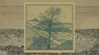 Anima Solitaria  & Delonix Regia - S/T (2024)