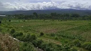RELAXING AUDIO VISUAL || #9 sape kalimantan music & time lapse cloud motion in balcony view