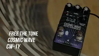 Free The Tone COSMIC WAVE / CW-1Y　MULTIPLE FILTERING DELAY