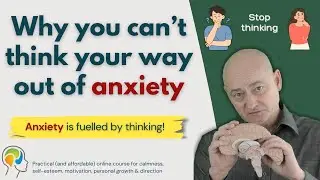 This is why thinking makes anxiety worse - we must go back to evolutionary basics