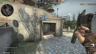 freebird | csgo montage