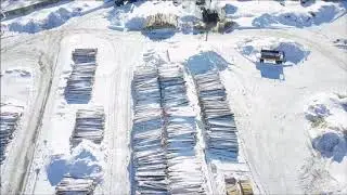 Презентация Нижегородский лесокомбинат