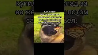 Жиза детства #мем #мемы #песниподгитару #собака #прикол